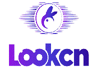 人在海外玩无畏契约手游国服延迟高用什么加速器？